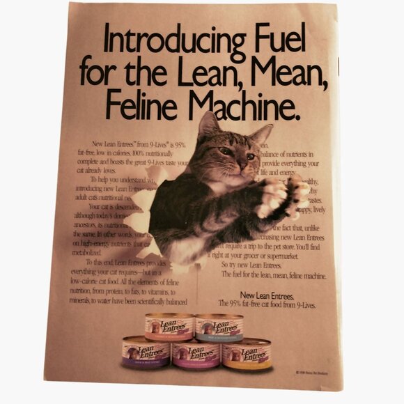 Cat Fancy Magazine Vintage January 1991 - Picture 7 of 9